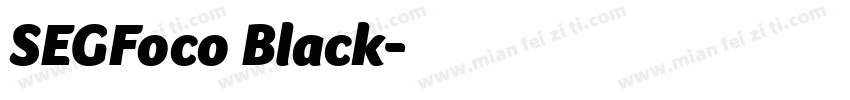 SEGFoco Black字体转换